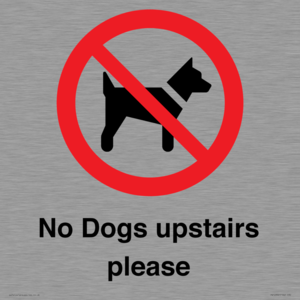 PV12392: No Dogs upstairs please
