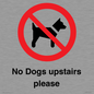 PV12392: No Dogs upstairs please