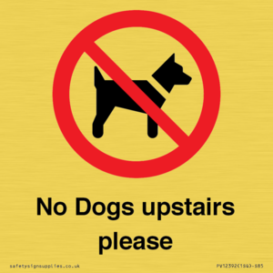 PV12392: No Dogs upstairs please