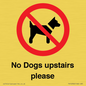 PV12392: No Dogs upstairs please