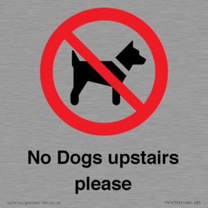 PV12392: No Dogs upstairs please