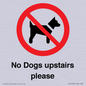 PV12392: No Dogs upstairs please