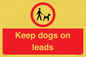 PV1437: Keep dogs on leads