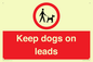 PV1437: Keep dogs on leads