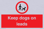 PV1437: Keep dogs on leads