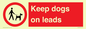 PV1437: Keep dogs on leads