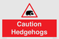 PV16856: Caution Hedgehogs
