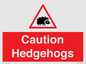 PV16856: Caution Hedgehogs