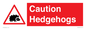 PV16856: Caution Hedgehogs