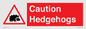 PV16856: Caution Hedgehogs