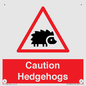 PV16856: Caution Hedgehogs