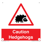 PV16856: Caution Hedgehogs