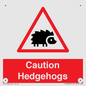 PV16856: Caution Hedgehogs