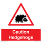 PV16856: Caution Hedgehogs