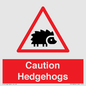 PV16856: Caution Hedgehogs