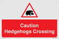 PV16858: Caution Hedgehogs Crossing