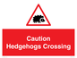 PV16858: Caution Hedgehogs Crossing