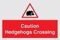 PV16858: Caution Hedgehogs Crossing