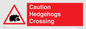 PV16858: Caution Hedgehogs Crossing