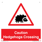 PV16858: Caution Hedgehogs Crossing