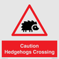 PV16858: Caution Hedgehogs Crossing