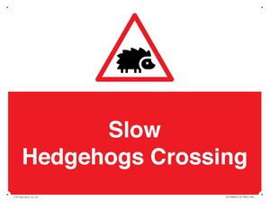 PV16860: Slow Hedgehogs Crossing