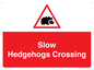 PV16860: Slow Hedgehogs Crossing