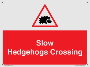PV16860: Slow Hedgehogs Crossing