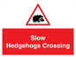 PV16860: Slow Hedgehogs Crossing