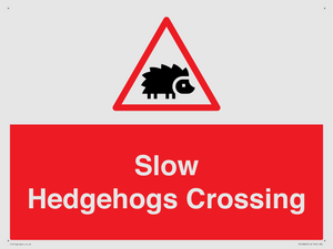 PV16860: Slow Hedgehogs Crossing
