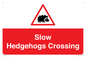PV16860: Slow Hedgehogs Crossing