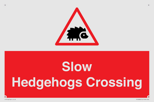 PV16860: Slow Hedgehogs Crossing