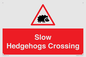 PV16860: Slow Hedgehogs Crossing