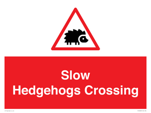 PV16860: Slow Hedgehogs Crossing