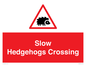 PV16860: Slow Hedgehogs Crossing
