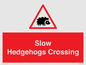 PV16860: Slow Hedgehogs Crossing
