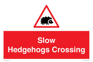 PV16860: Slow Hedgehogs Crossing