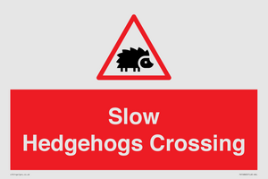 PV16860: Slow Hedgehogs Crossing