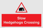PV16860: Slow Hedgehogs Crossing