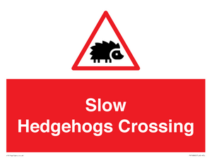 PV16860: Slow Hedgehogs Crossing
