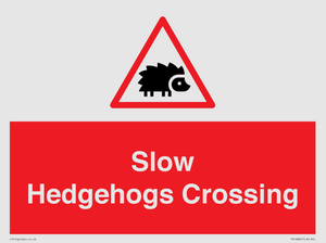 PV16860: Slow Hedgehogs Crossing