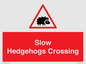 PV16860: Slow Hedgehogs Crossing