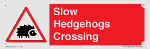 PV16860: Slow Hedgehogs Crossing