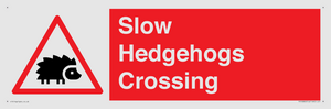 PV16860: Slow Hedgehogs Crossing