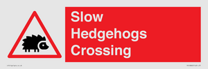 PV16860: Slow Hedgehogs Crossing