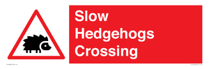 PV16860: Slow Hedgehogs Crossing