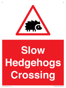 PV16860: Slow Hedgehogs Crossing