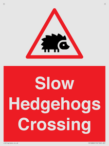 PV16860: Slow Hedgehogs Crossing