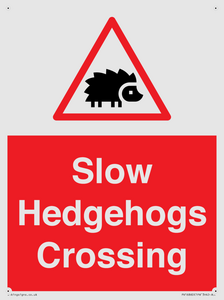 PV16860: Slow Hedgehogs Crossing