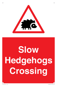 PV16860: Slow Hedgehogs Crossing